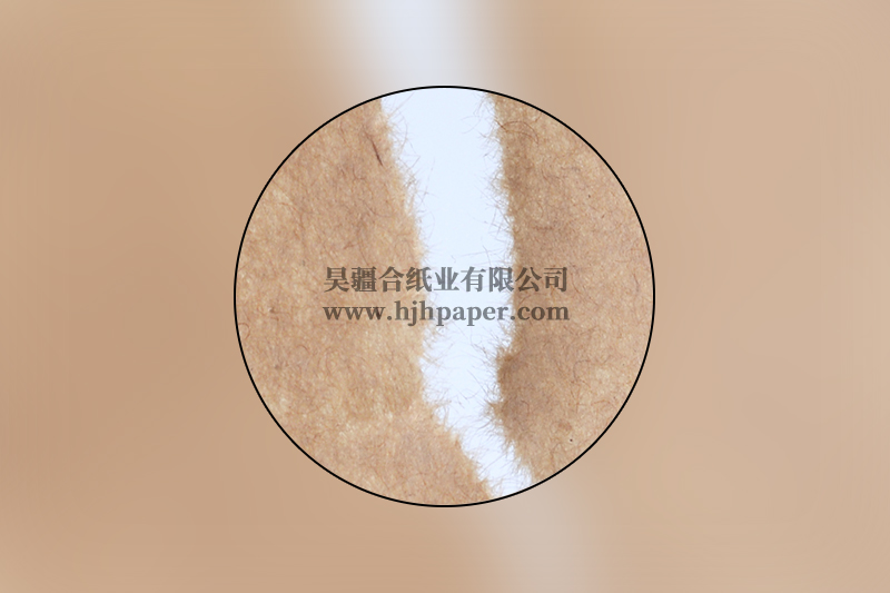 B級(jí)包裝牛皮紙